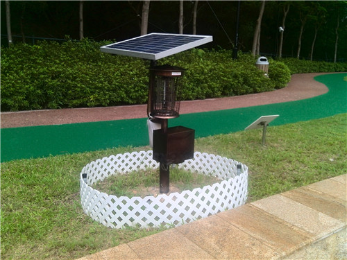香港某(mǒu)公園太陽能滅蚊燈使用效果 香港某公園太(tài)陽能滅蚊燈使用(yòng)效果