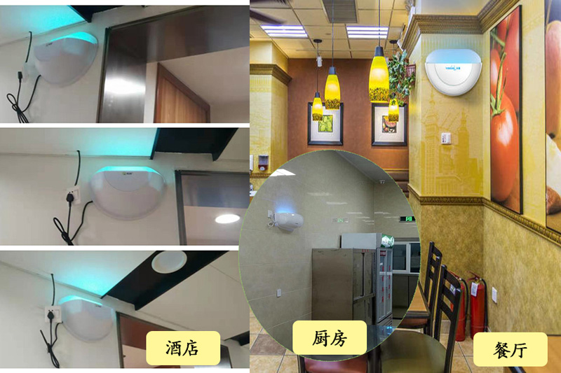 酒店室(shì)內滅(miè)蠅(yíng)燈安裝效果案例 酒店(diàn)室內滅蠅燈安裝效果案例