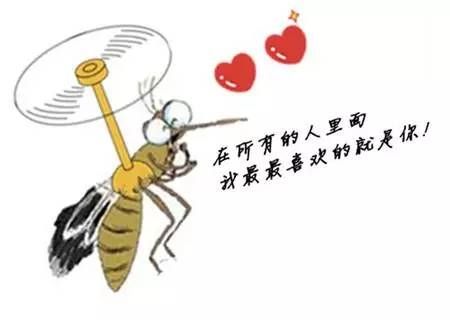 蚊子的生活習性 蚊子的生活習性
