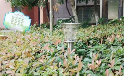 MZ05醫院戶外(wài)滅蚊燈 MZ05醫院(yuàn)戶外滅蚊燈