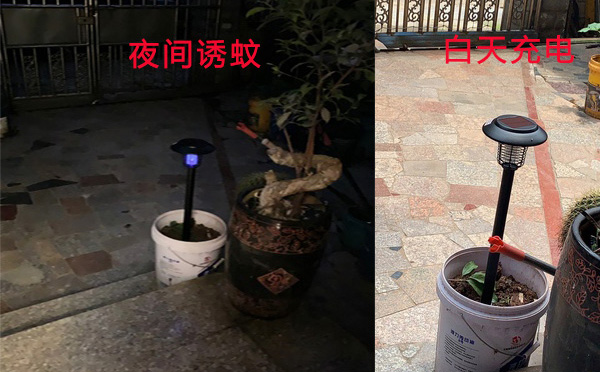 91视频成人版SX08戶外滅蚊燈價格(gé)圖片 91视频成人版SX08戶外滅蚊燈價格圖片