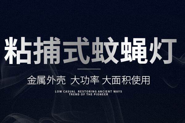 粘捕式滅蠅燈ZB002 粘捕式滅蠅(yíng)燈ZB002