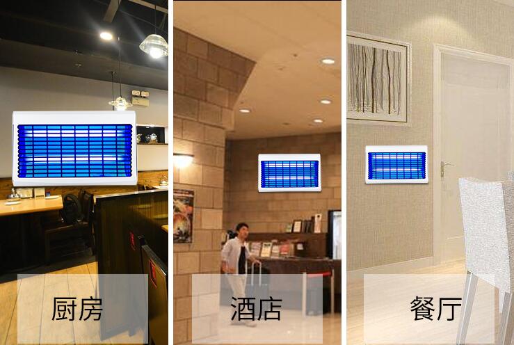 ZB002粘捕式滅蠅燈適用與食堂餐廳酒店(diàn) ZB002粘捕(bǔ)式滅蠅燈適用與(yǔ)食堂餐廳酒店