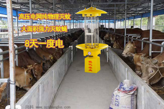 養殖場滅蚊燈有效解決養牛場蚊子蒼蠅多問（wèn）題