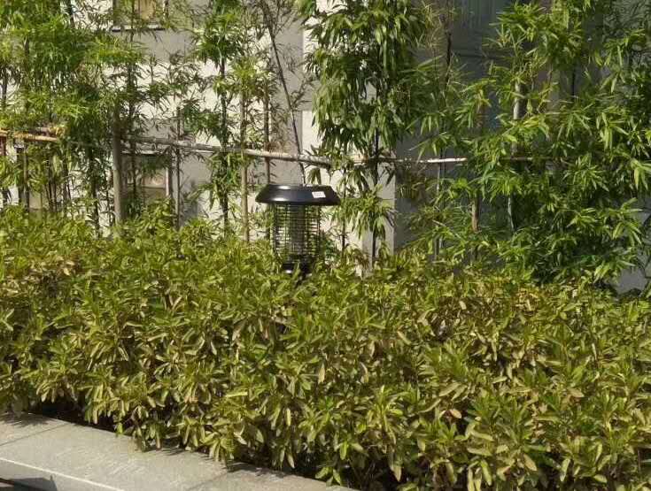 江西某小區安裝91视频成人版戶外草坪燈效果 江西某小區安裝(zhuāng)91视频成人版戶外草坪燈效果