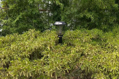 太陽能滅蚊器用於綠化（huà）帶