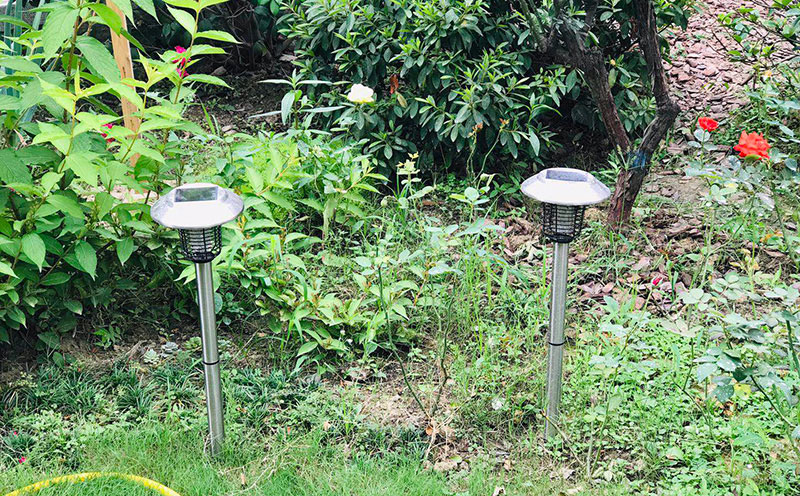 【用戶（hù）分享】花（huā）園裏放了兩台LED庭院滅（miè）蚊燈效果還不錯