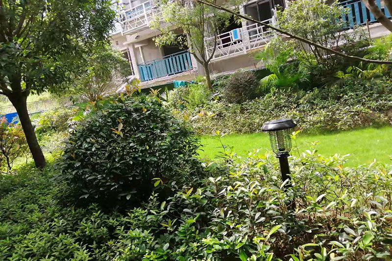 江西大餘(yú)碧桂園翰盛雅園小區太陽能(néng)滅蚊燈案例 江西大餘碧桂園翰盛雅園小區太陽能滅蚊燈案例