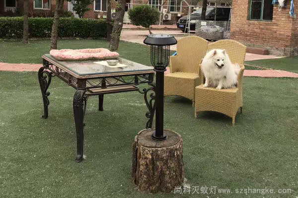 太陽能戶外滅蚊燈別墅庭院使用效果 太陽能戶外滅蚊燈別墅庭院使用效(xiào)果