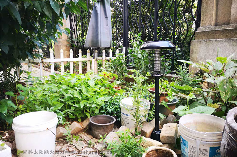 戶外滅蚊親測：滅蚊燈效果怎麽樣？到（dào）底有用嗎
