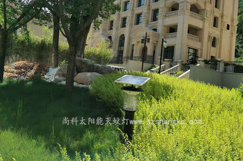 浙江溫州高檔小區太陽能室外殺（shā）蚊燈效果圖片