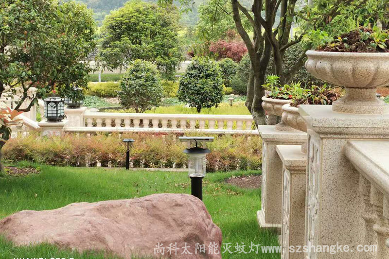 浙江溫州高檔(dàng)小區太陽能室外(wài)殺蚊(wén)燈效果圖片