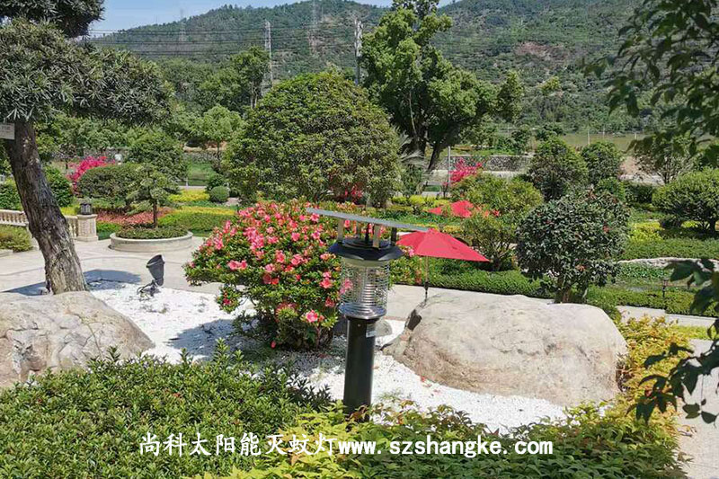 浙江(jiāng)溫州高(gāo)檔小區太陽(yáng)能(néng)室外殺蚊燈效果(guǒ)圖片(piàn)