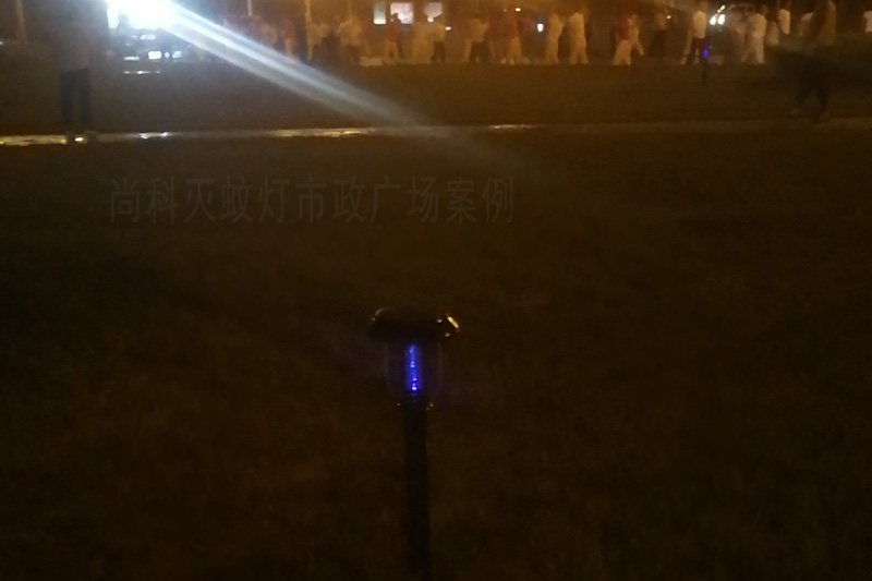河北(běi)黃驊公園滅蚊燈 河(hé)北黃驊公園滅蚊燈