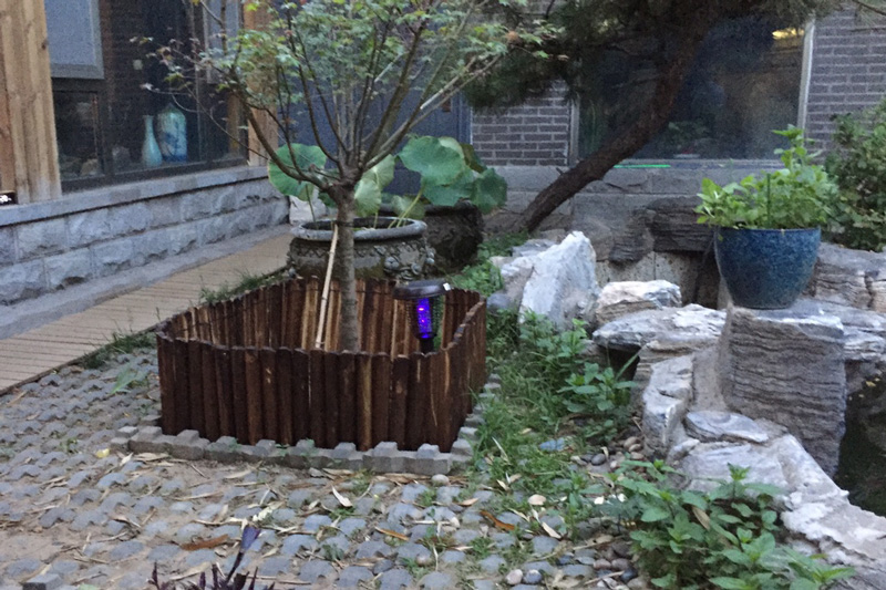 農村庭院滅蚊技巧—太陽能滅蚊燈 農村庭院(yuàn)滅蚊(wén)技巧—太陽能(néng)滅蚊燈