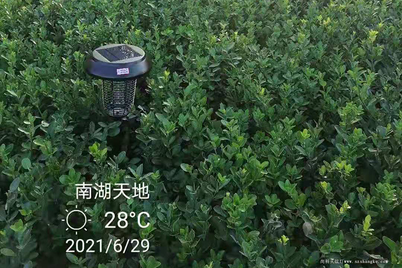 與太陽能滅蚊燈一（yī）起打卡嘉興南（nán）湖天地