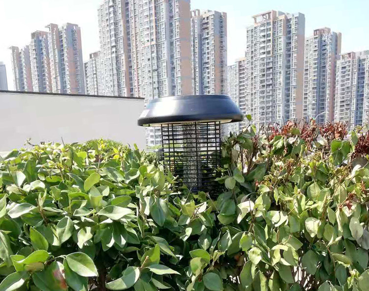 太陽能滅蚊（wén）燈的安裝步驟與使用方（fāng）法